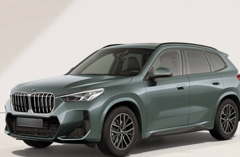 BMW X1 — photo 13