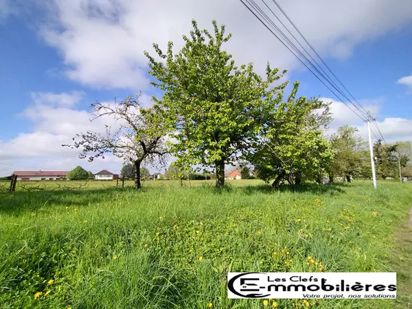 Terrain constructible avec arbres fruitiers 1147 m2 - 71620 St Maurice en Riviere