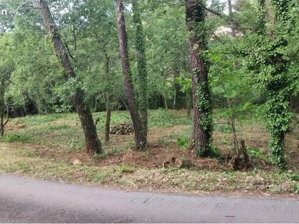 Terrain constructible