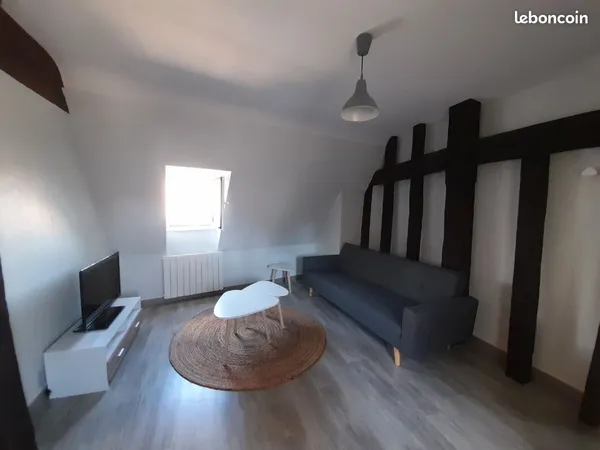 Appartement T2 meublé 45m² - Centre ville