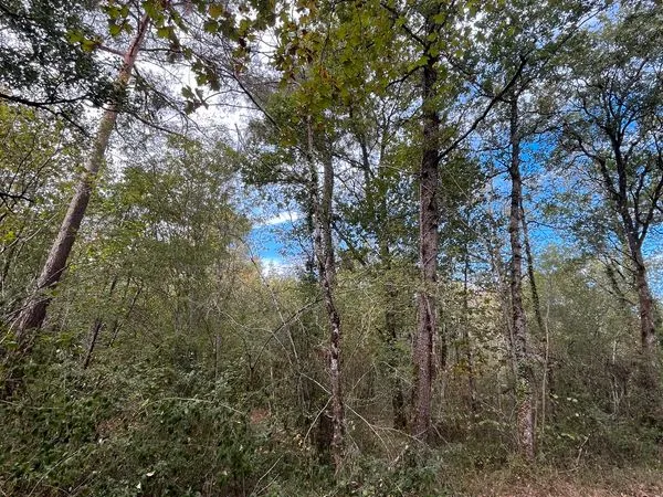 Terrain boisé de 15206 m2 Thurageau
