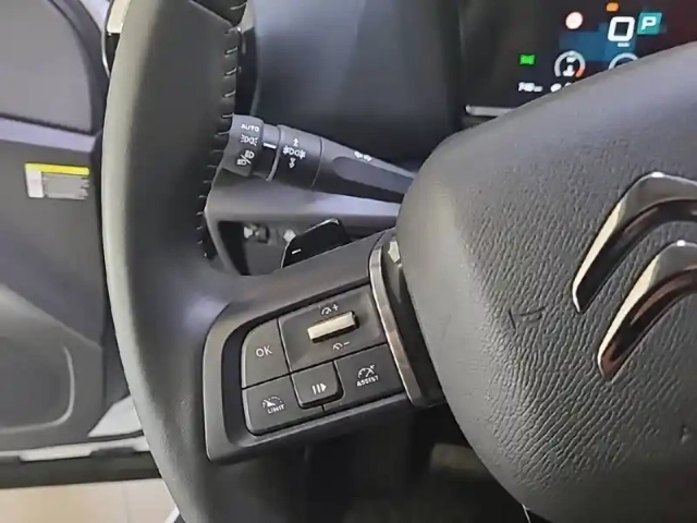 Citroën C4 bluehdi 130 eat8 — photo 59