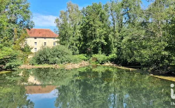 Immeuble 589 m²