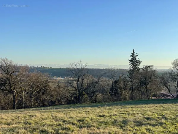 Terrain à Bâtir à Quint Fonsegrives (31130)