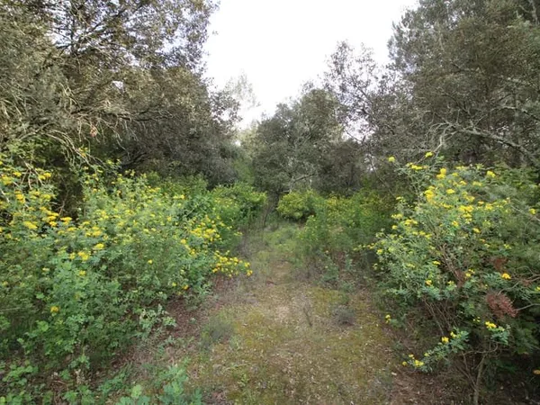TERRAIN de loisirs 1000 M2.