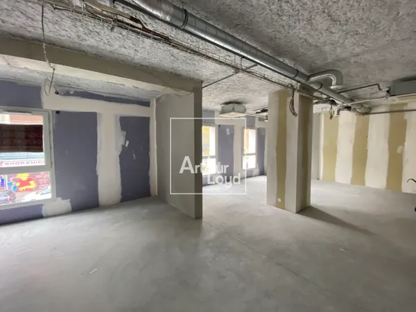 Local professionnel 225 m²
