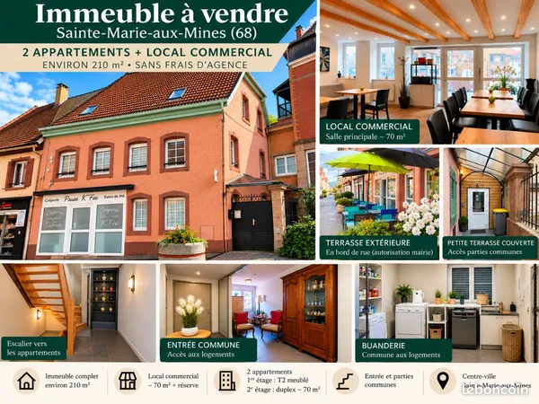Immeuble de rapport - 2 appartements meublés + Local commercial - centre ville
