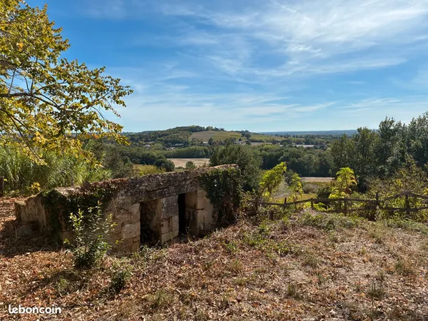 Maison dans les vignes