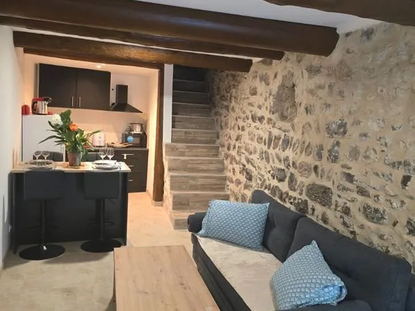 Loft de luxe meublé climatisé à louer