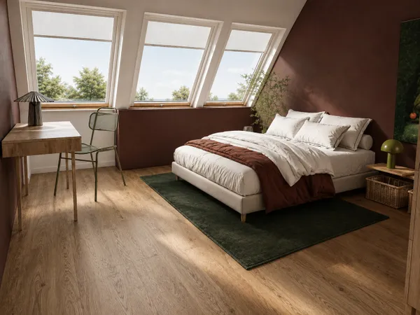 Chambre de 13 m² à Strasbourg