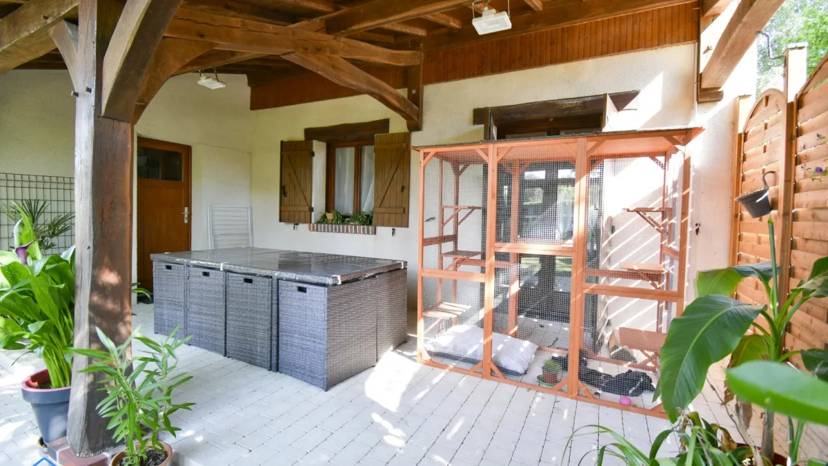 Photo 15