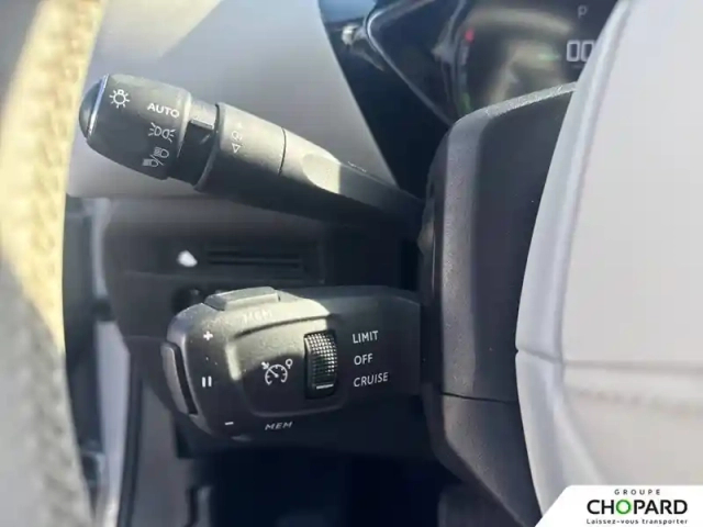 Ds Ds 3 ds3 crossback e-tense — photo 12