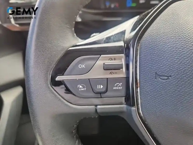 Peugeot 308 phev 180 e-eat8 — photo 19