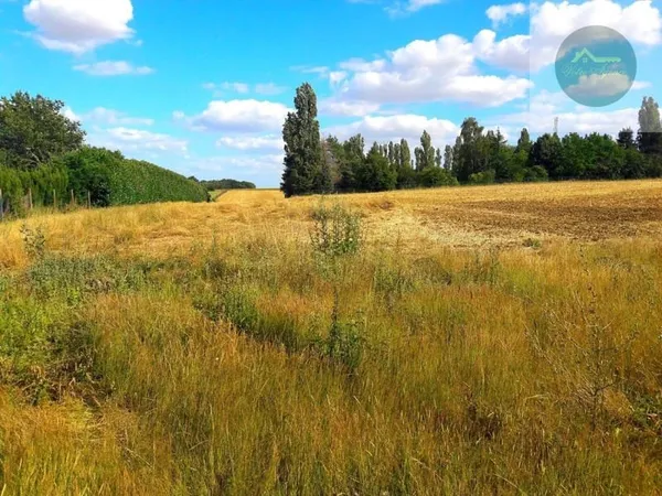 Terrain 1000 m²