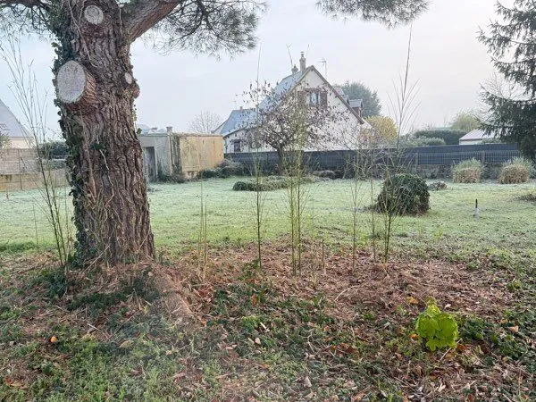 Terrain à bâtir