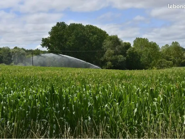 88 hectares à vendre