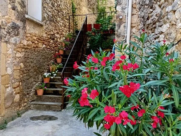 Grande maison au coeur du village historique du XI eme s
