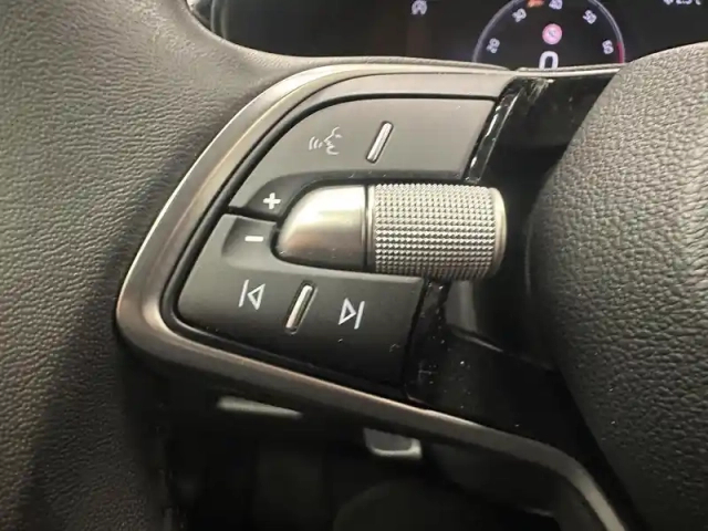 Skoda Fabia 1.0 tsi 116 ch evo 2 dsg7 — photo 9