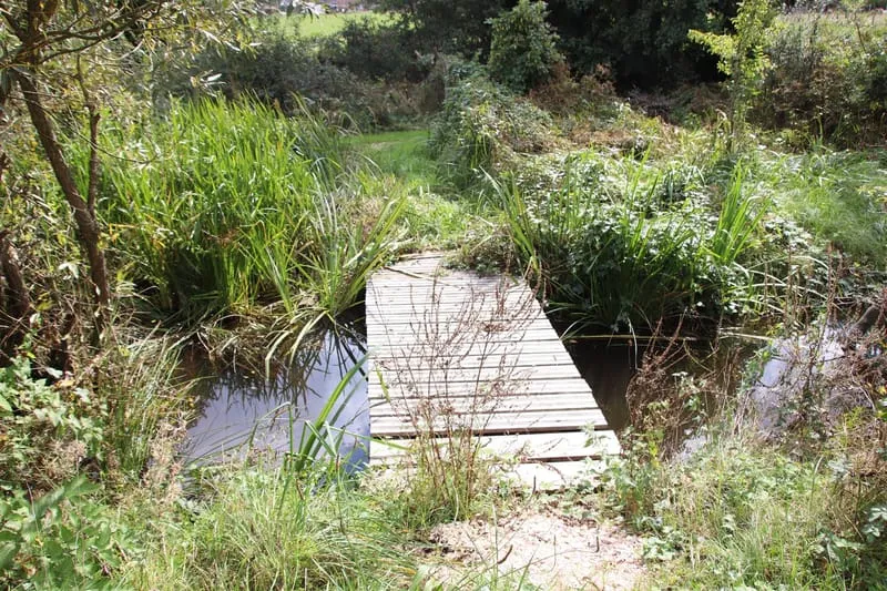 Photo 9