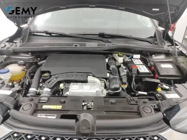 Ds Ds 3 ds3 crossback puretech 130 eat8 — photo 15