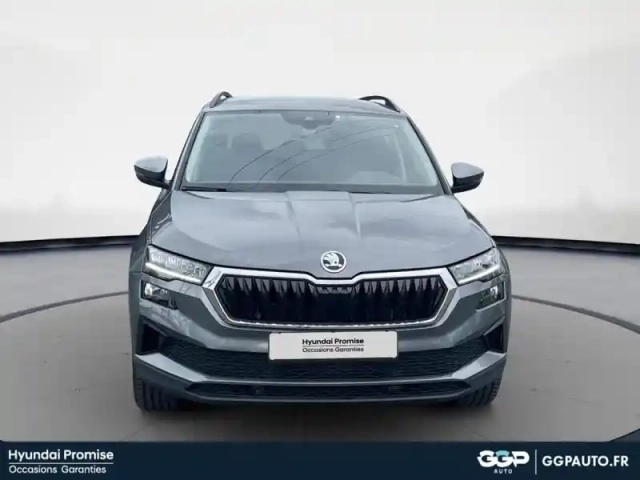Skoda Karoq 2.0 tdi 116ch scr business dsg7 — photo 8