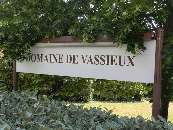 Caluire et Cuire / Vassieux - Maison climatisée - 265² - 4/5 chambres - Piscine - Terrain 1000m²