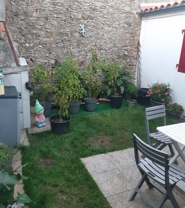 Photo 2