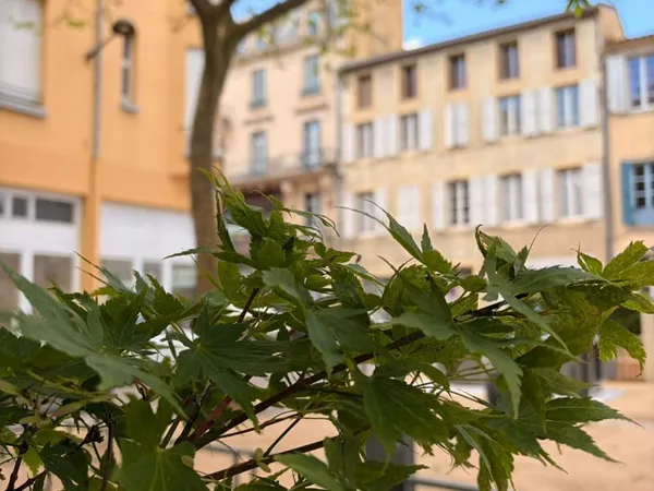 Appartement T3 avec terrasse et grand grenier. Carcassonne.