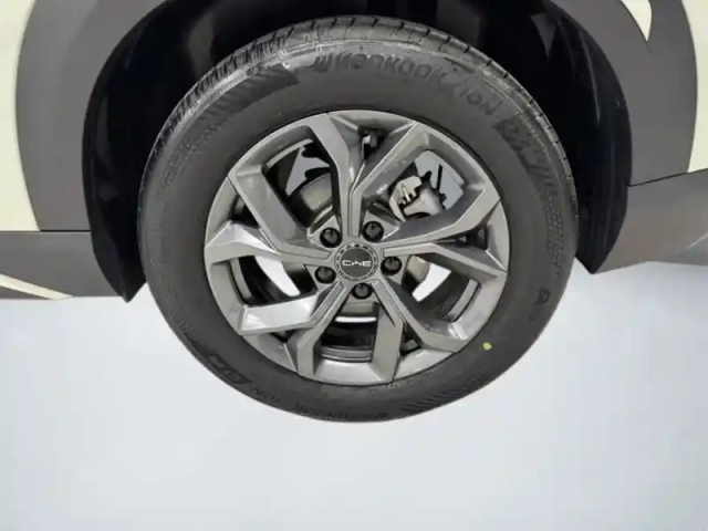 Byd Atto 2 boost 130 kw — photo 9
