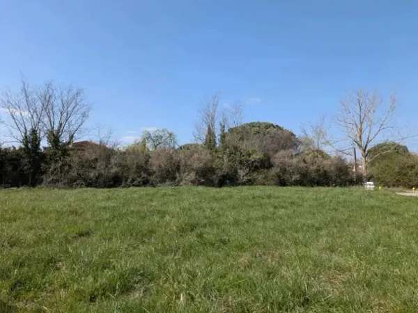 Terrain 1453 m²