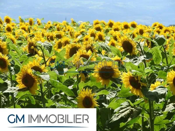 À vendre Grand terrain constructible secteur Hagetmau