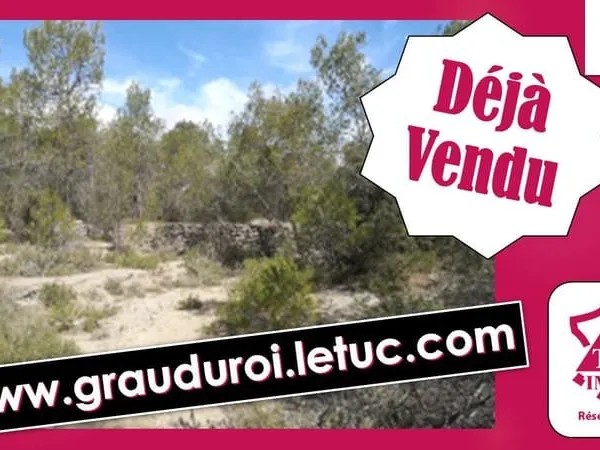 À Vacquières (34), terrain à vendre 3.6 Hectares