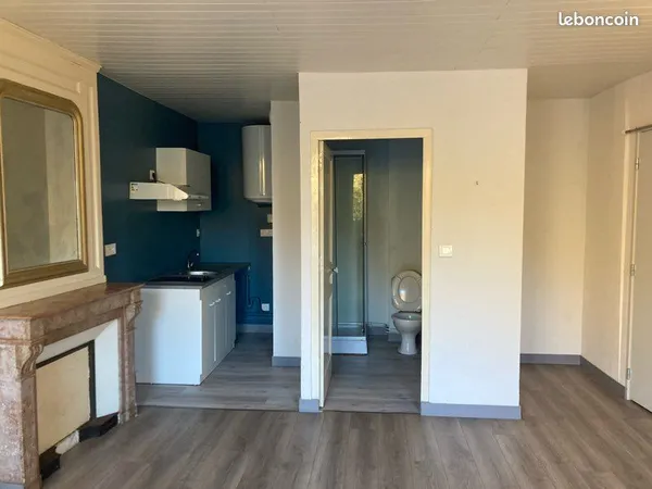 Studio 29m2, intégralement refait, très lumineux, quartier calme