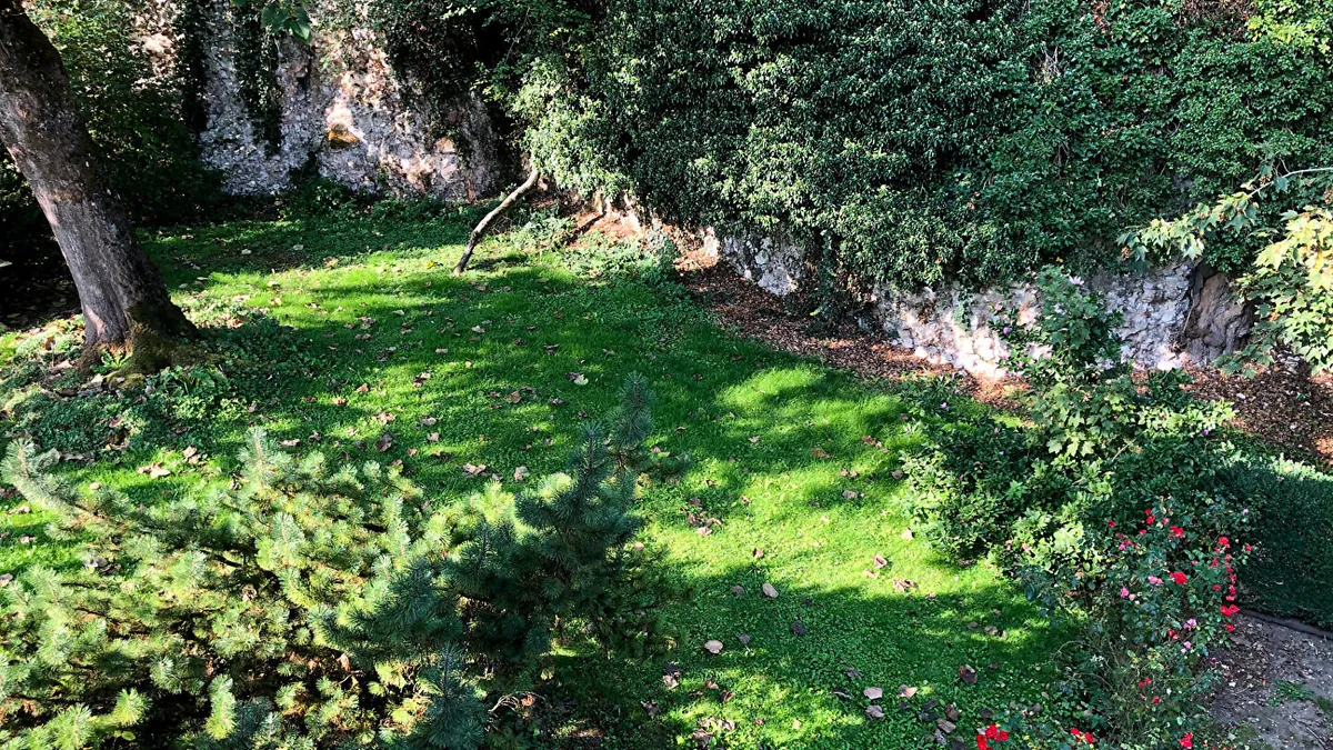 Photo 4