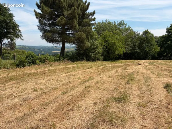Terrain constructible