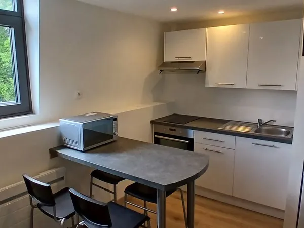 STUDIO meublé Place Carnot