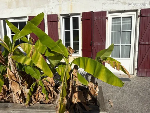 Studio à louer Bayonne au calme
