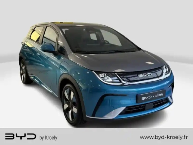 Byd Dolphin design 427km d'autonomie wltp, siège chauffant, caméra — photo 7