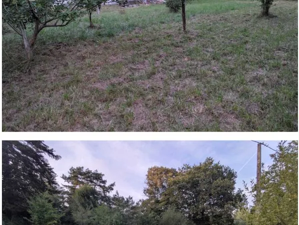 BIAUDOS - Terrain à bâtir 1 297 m² - 160 000 - DP + G1