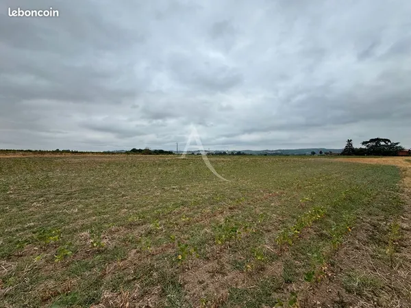 Terrain 40000 m² LISLE SUR TARN
