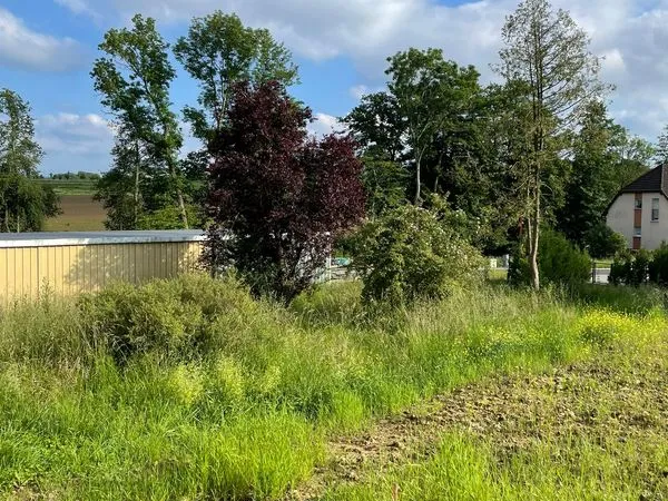 TERRAIN 450 m²