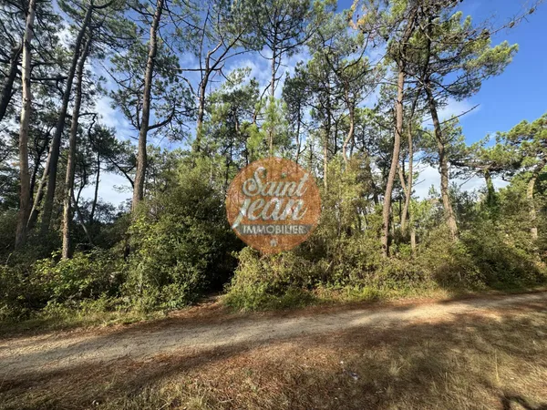 Terrain 1004 m²