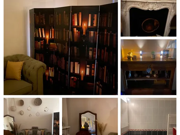 APPARTEMENT MEUBLÉ 56 m² - VIERZON CENTRE