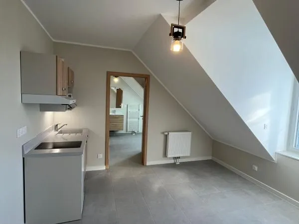 Appartement 1 pièce 24 m²