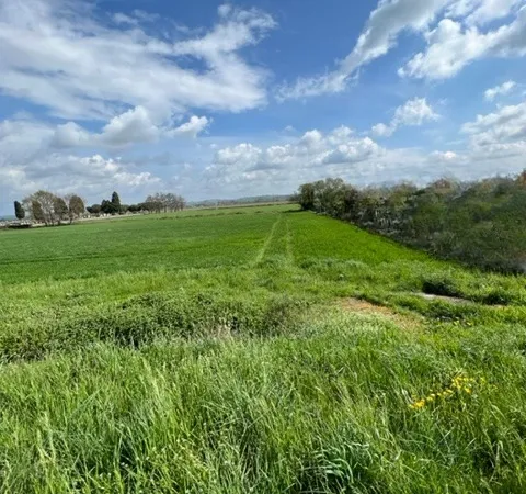 Terrain 1177 m²