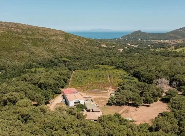 Cap Corse, Pietracorbara, Domaine privé, 6 logements, piscine et