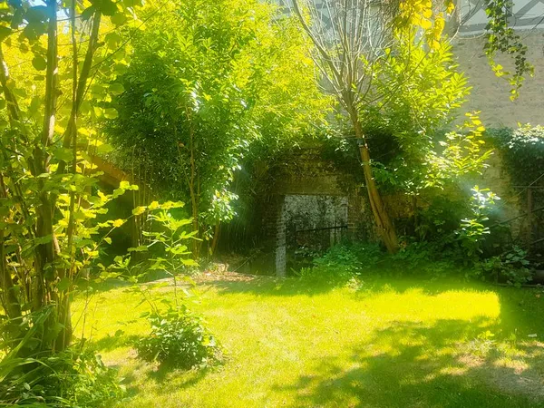 Terrain de loisirs 350 m² - Bord de rivière - Falaise