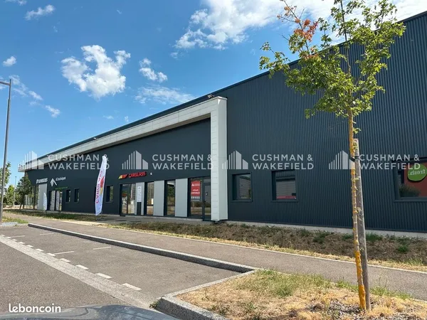 Local 375 m²
