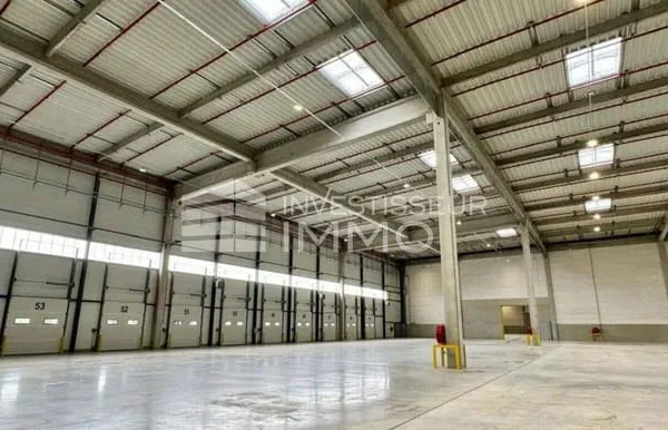 Entrepôt 9825 m²