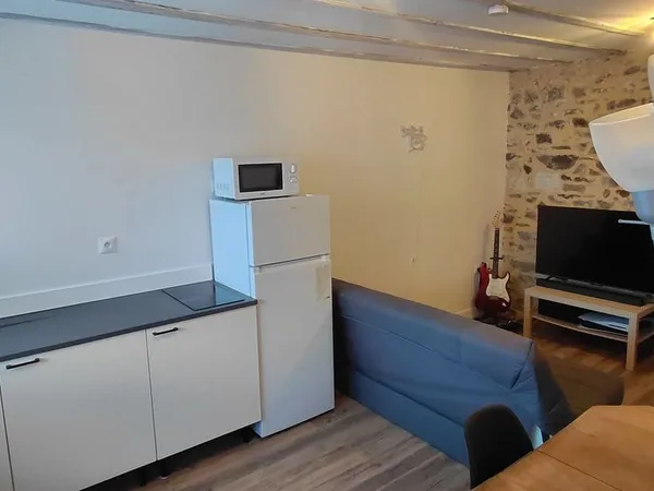 Location maison bord de Loire - 460
